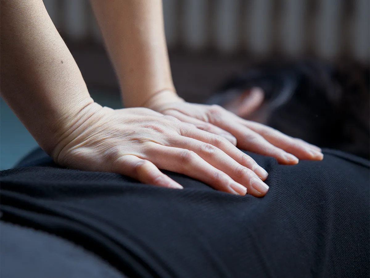 Shiatsu sur futon en entreprise : Stéphanie Vuong travaille le méridien de la Vessie d'une collaboratrice allongée